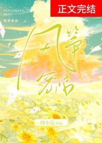 书名风筝