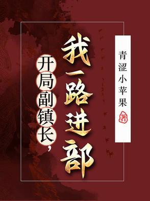开局副镇长我一路进部完结了吗