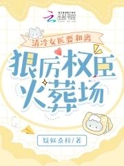 清冷女医生txt大饼