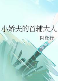 小娇夫的首辅大人叶胥