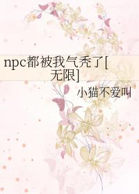 npc都被我气秃了[无限]